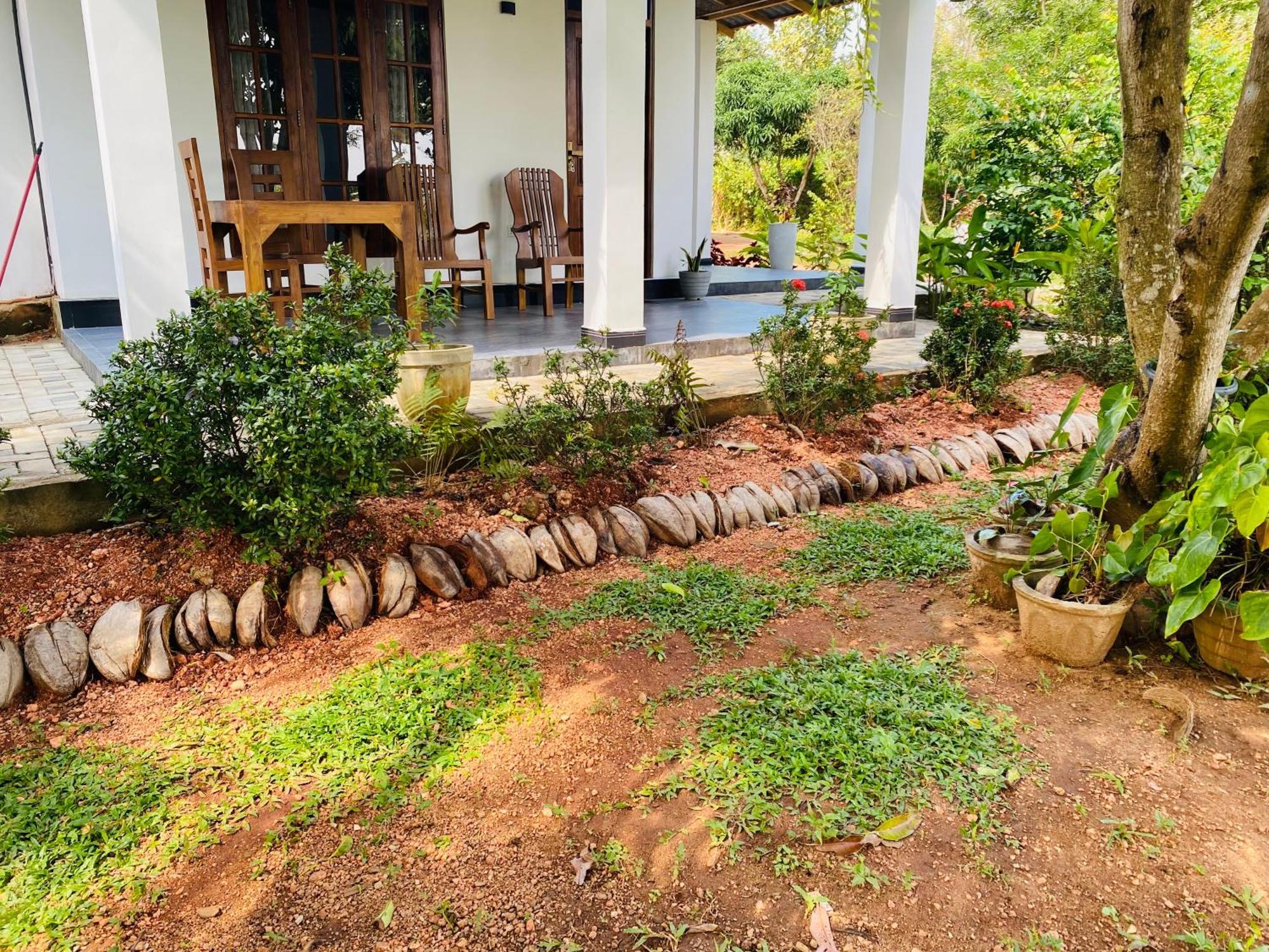 Fairview Dill Sigiriya