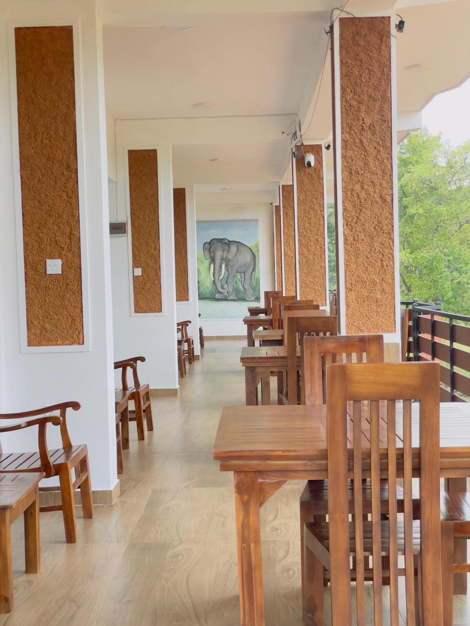 The Wild Elephant Sigiriya