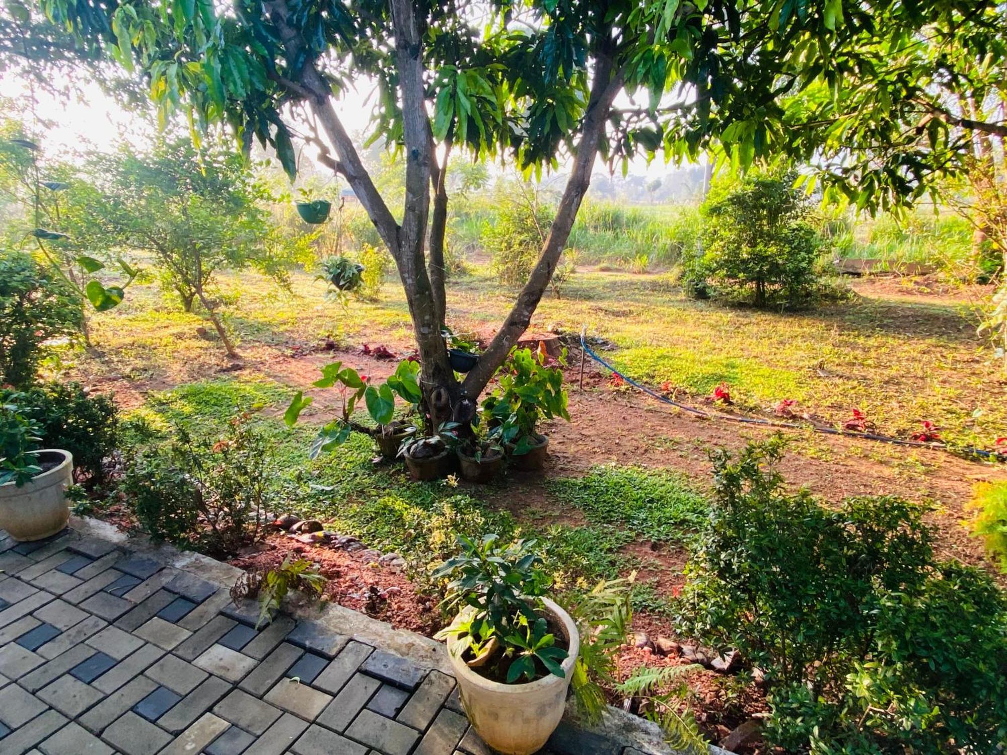 Fairview Dill Sigiriya