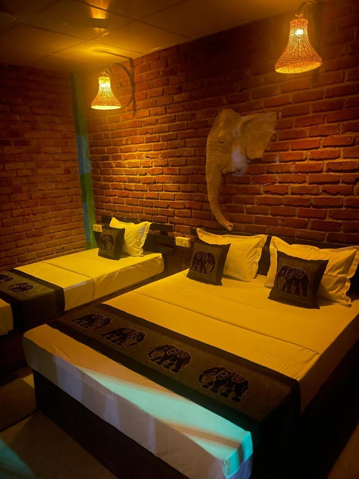 Ali Adi Eco Lodge