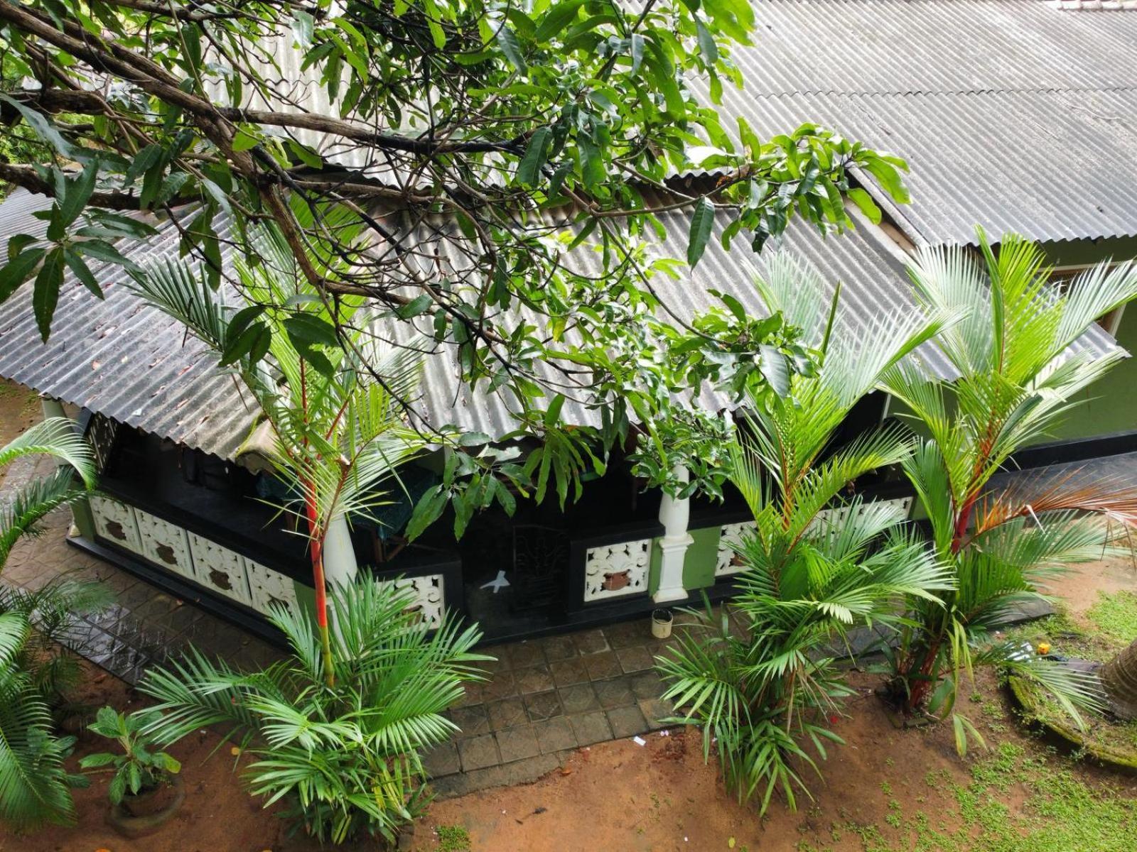 Bamboo House