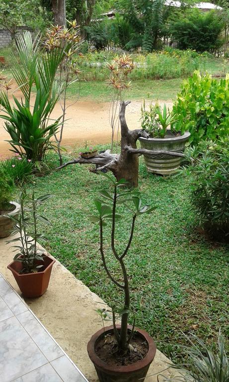 Homestay Sigiri Leisure Sigiriya