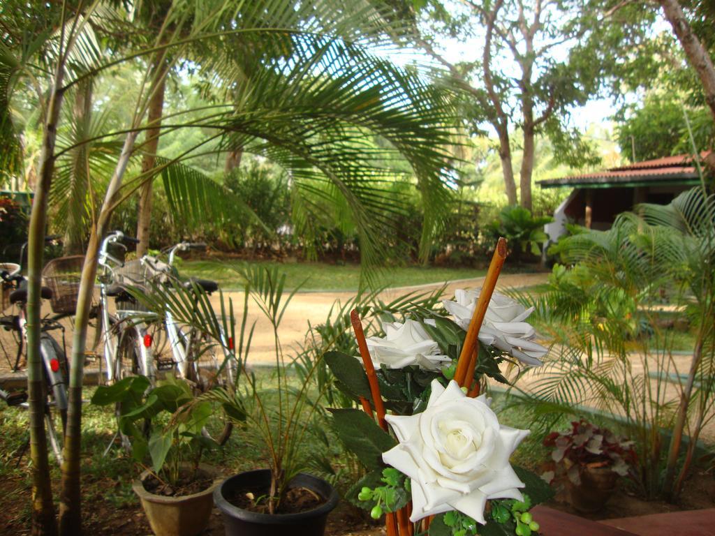Resort The Nature Park 3*