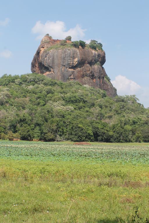 Sigiri Leisure Homestay Sigiriya