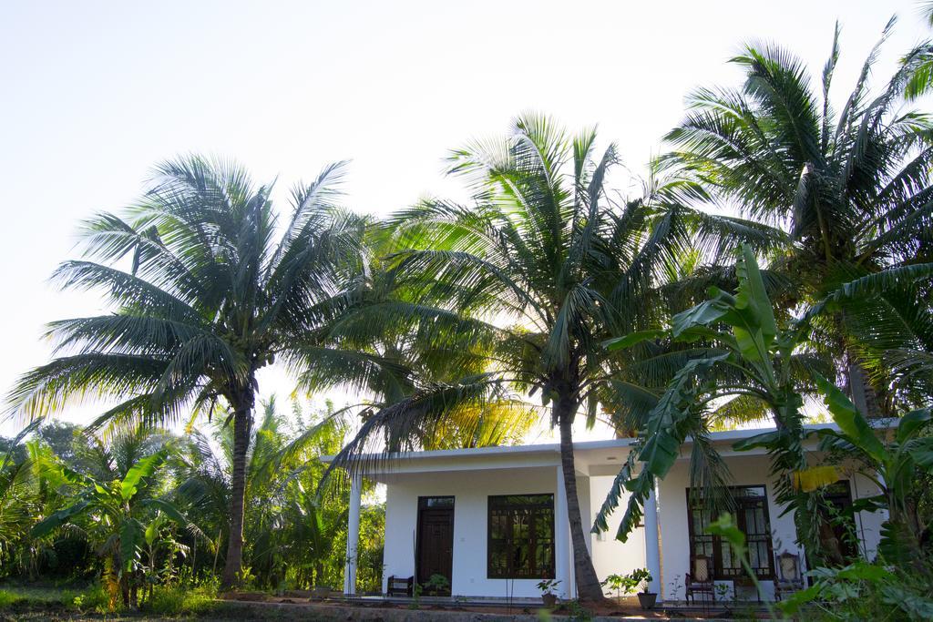 Shady Mango Bed & Breakfast