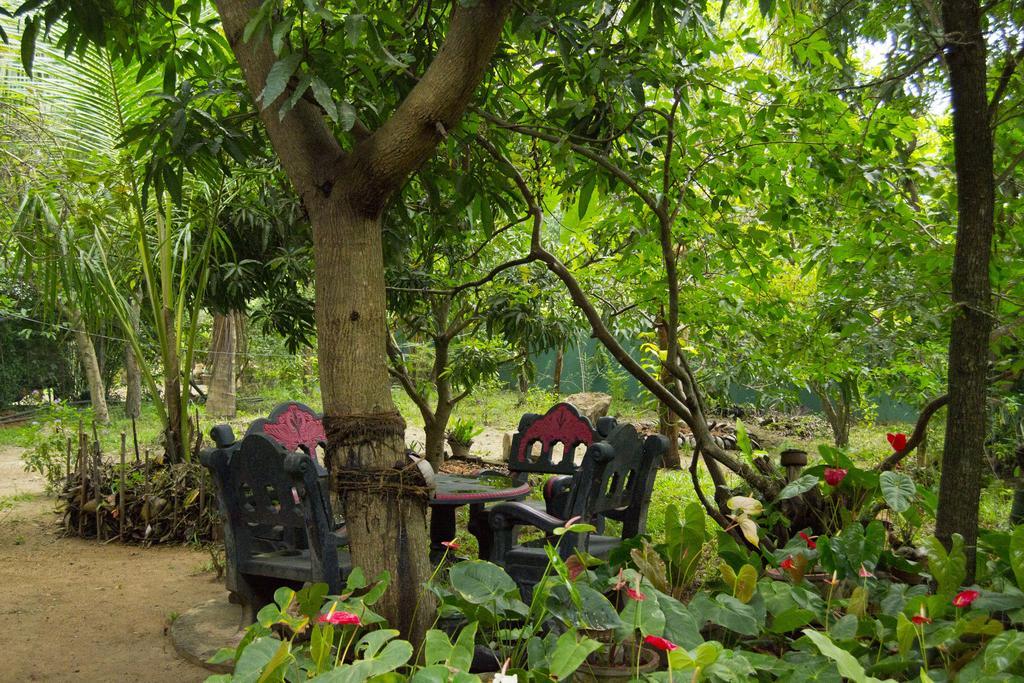 Bed & Breakfast Shady Mango Sigiriya