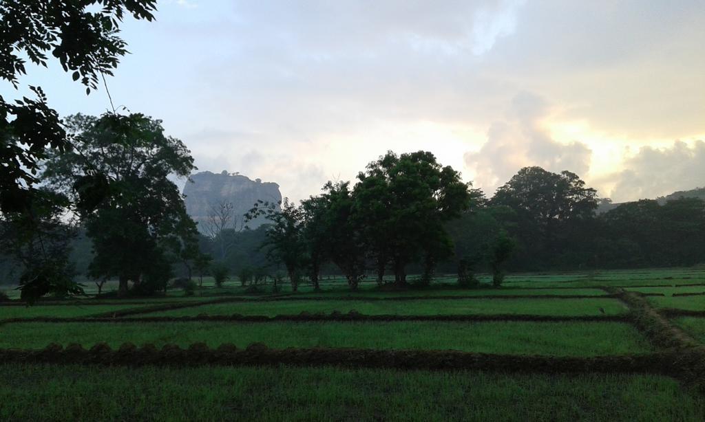Homestay Sigiri Leisure Sigiriya