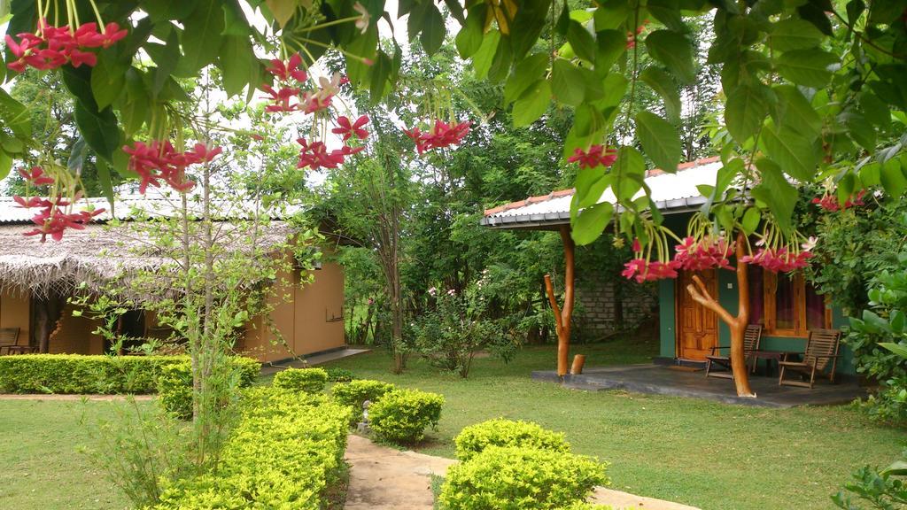 Liyon Rest Guest house Sigiriya