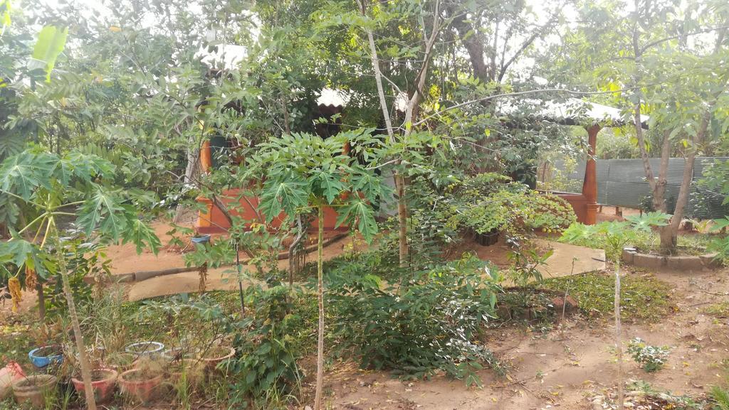 Jaana Guest Guest house Sigiriya