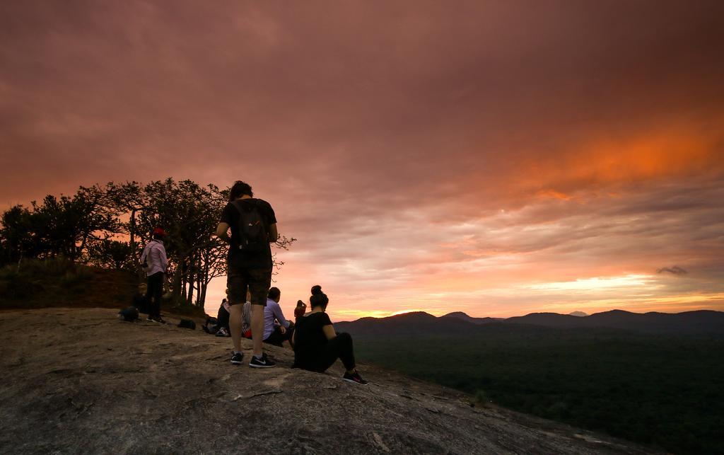 The Thick Forest * Sigiriya