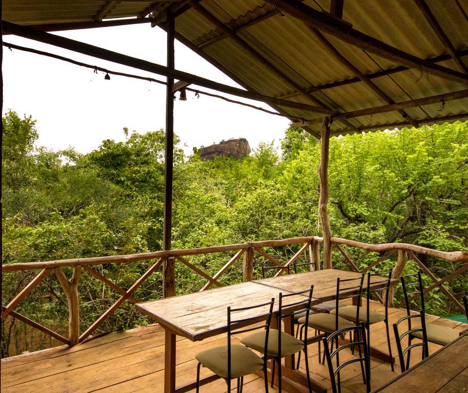 The Thick Forest * Sigiriya