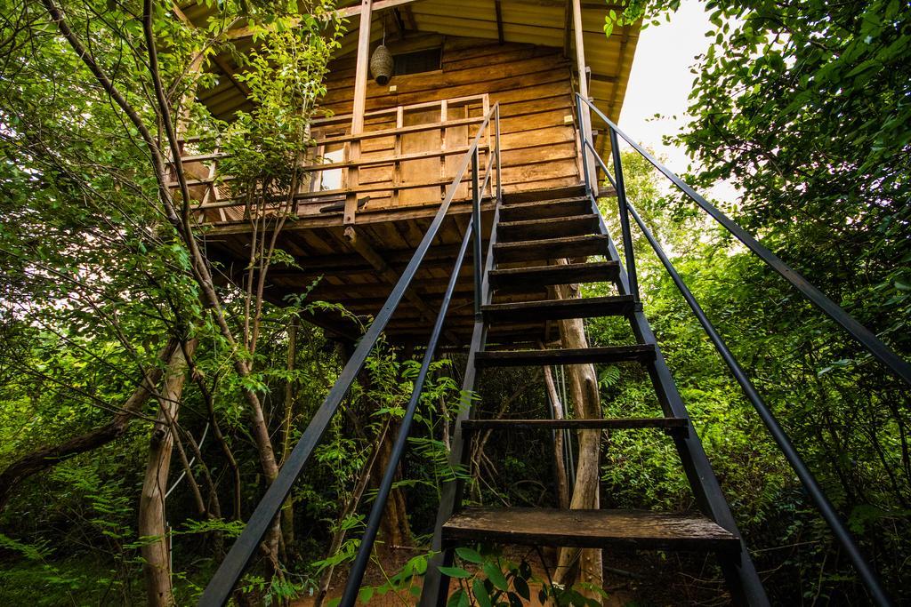 Lodge The Thick Forest *