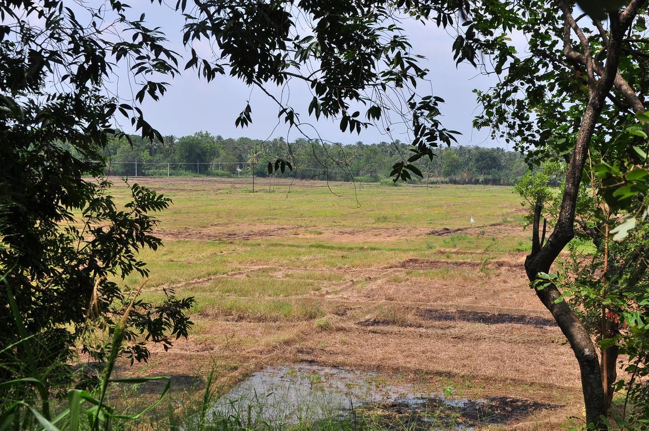 Organic Farm Wish Prabha View Sigiriya