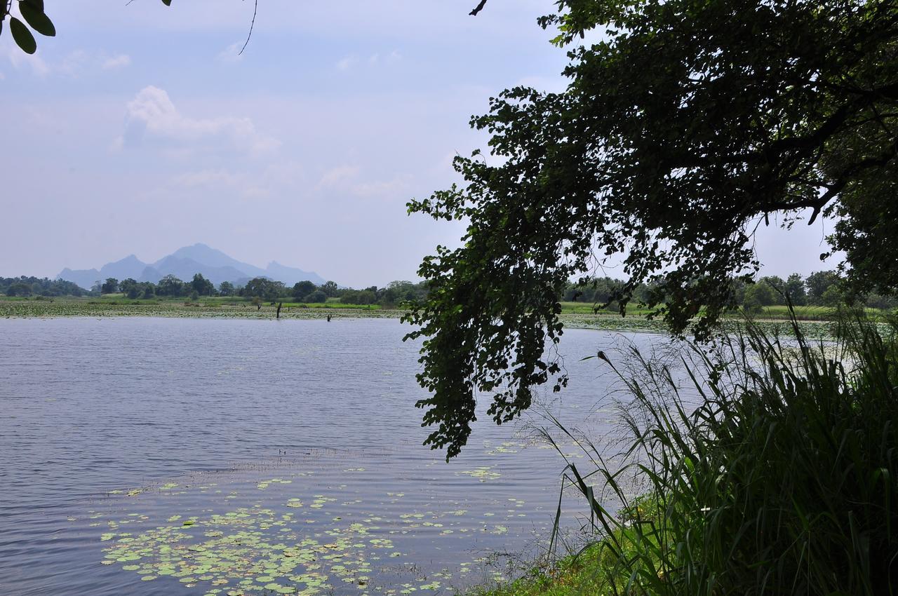 Homestay Organic Farm Wish Prabha View Sigiriya