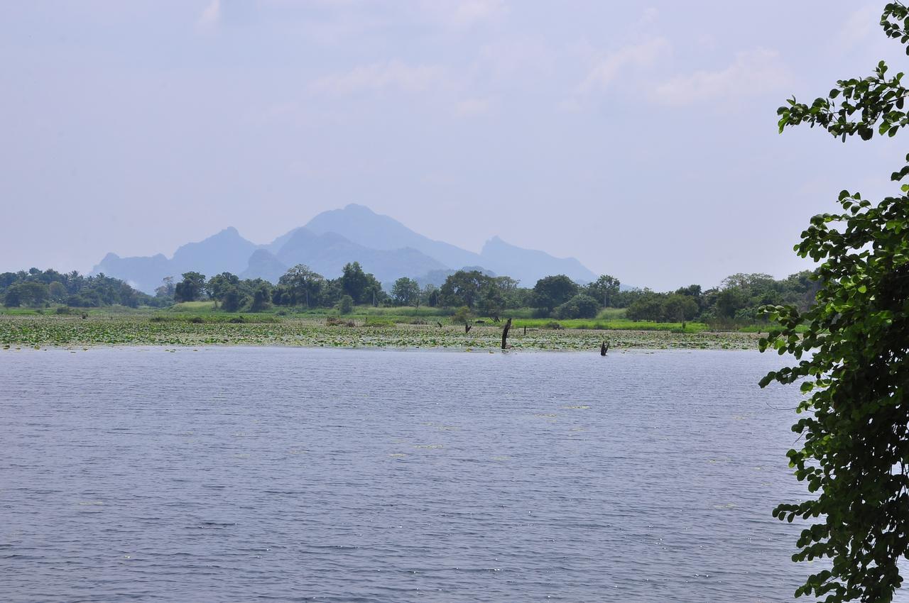 Organic Farm Wish Prabha View