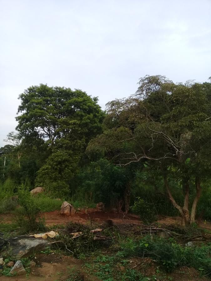 Organic Farm Wish Prabha View Homestay