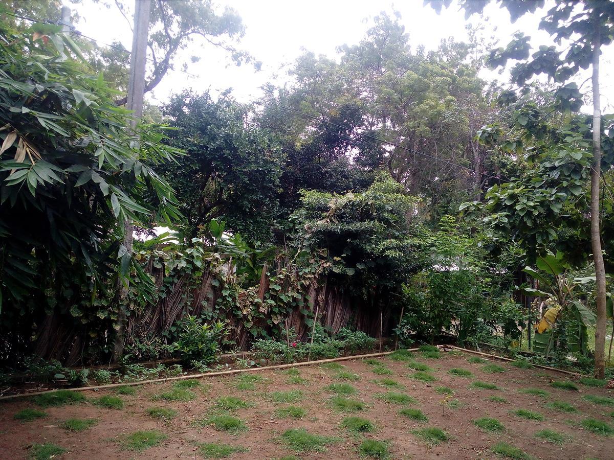 Guest house Thuruliya