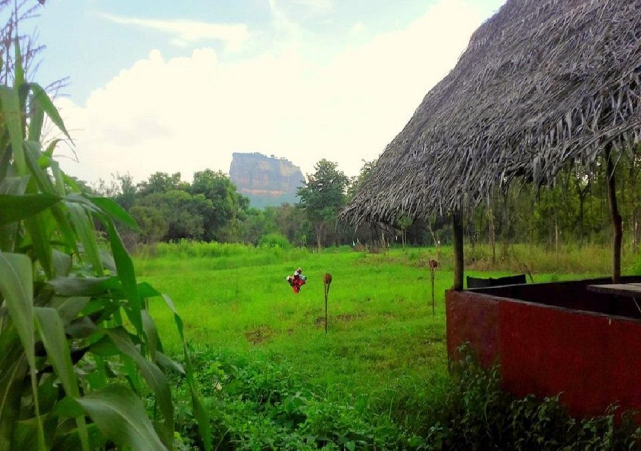 Rock Gate Resort Sigiriya