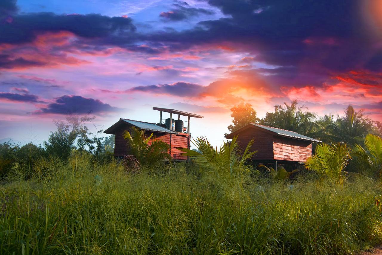 Lodge Sigiri Sarilco Rock View Treehouse *