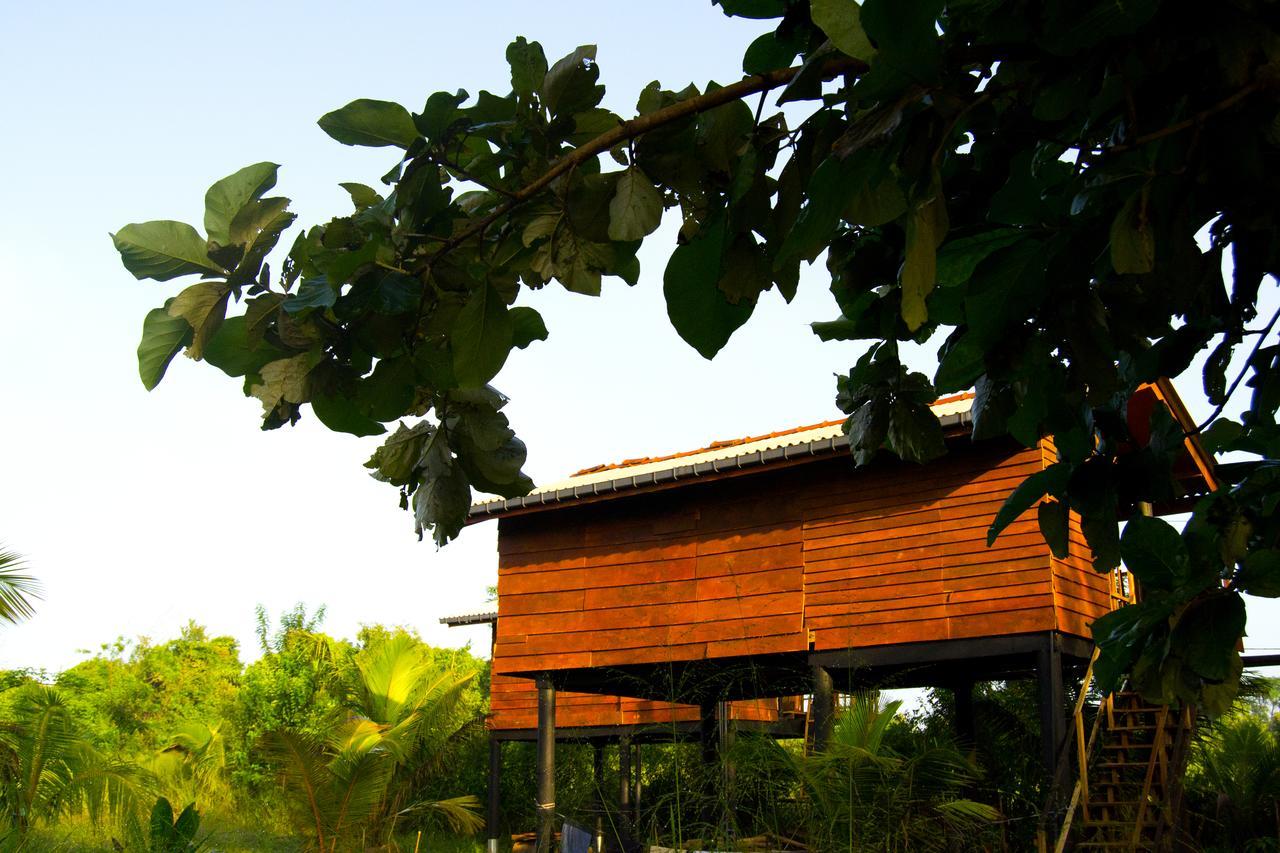 Lodge Sigiri Sarilco Rock View Treehouse *