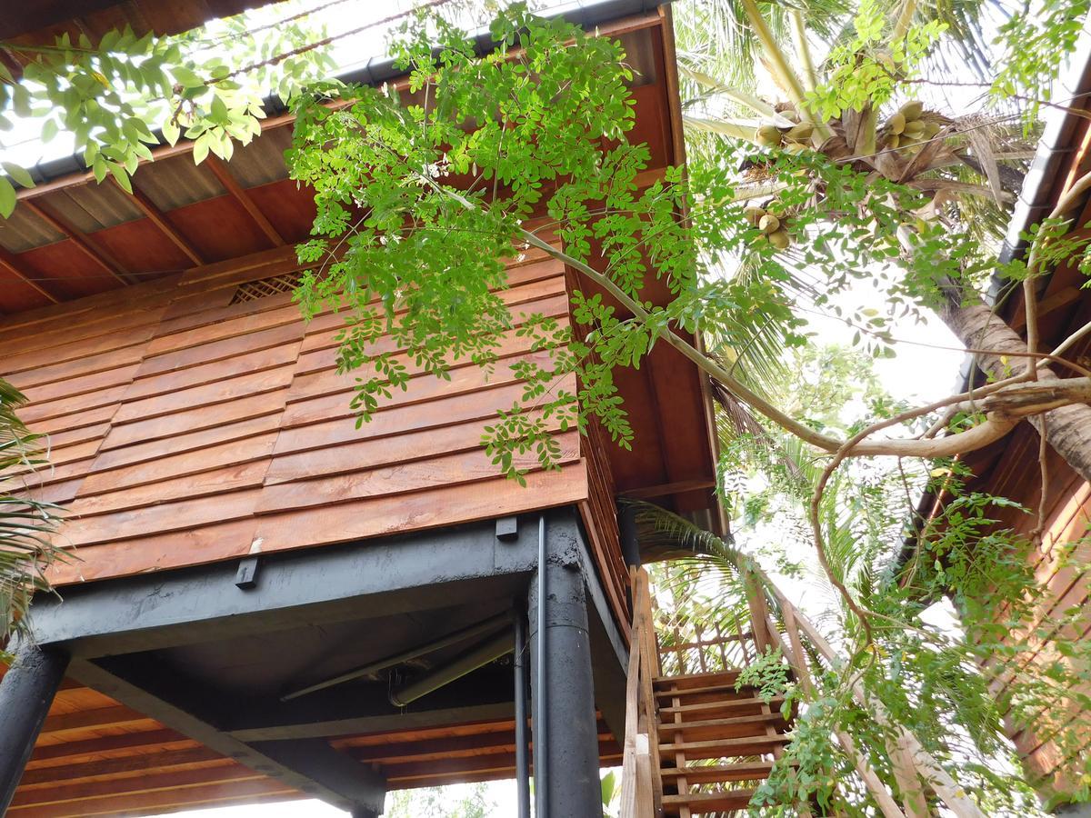 Lodge Sigiri Sarilco Rock View Treehouse *
