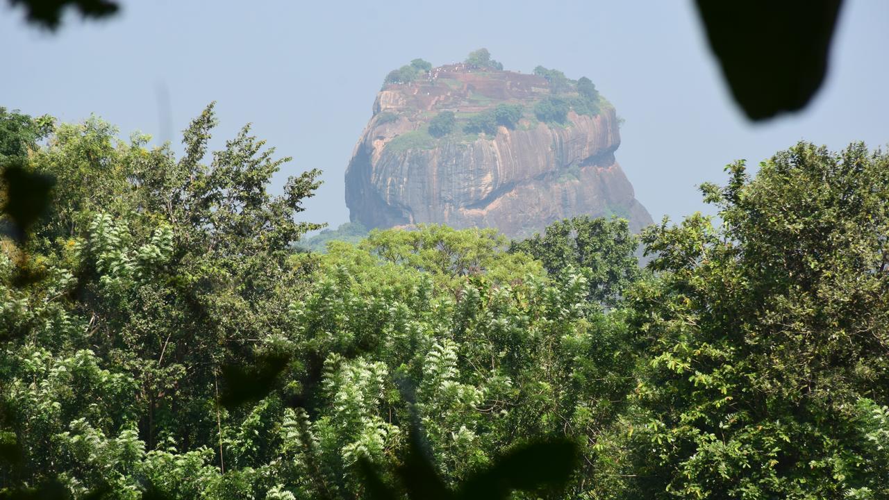 Sigiri Sarilco Rock View Treehouse * Sigiriya