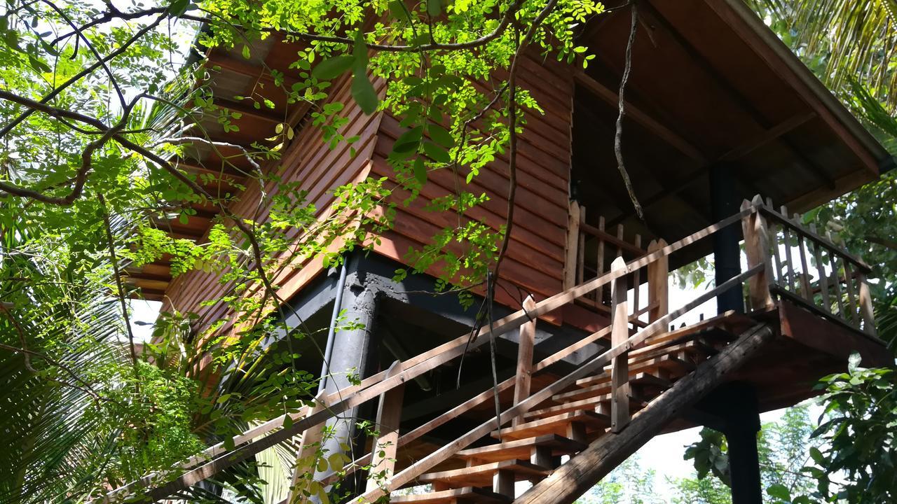 Lodge Sigiri Sarilco Rock View Treehouse *