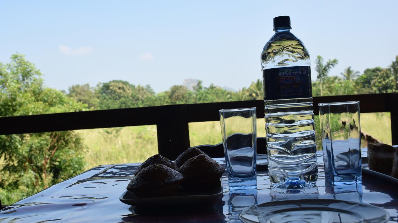 Lodge Sigiri Sarilco Rock View Treehouse *