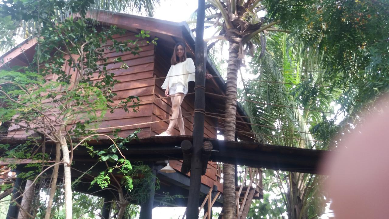 Lodge Sigiri Sarilco Rock View Treehouse *