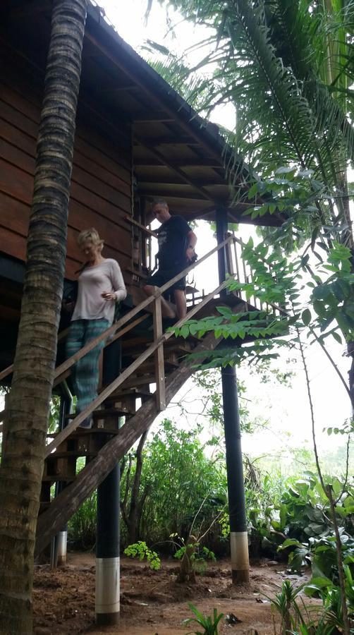 Sigiri Sarilco Rock View Treehouse Lodge