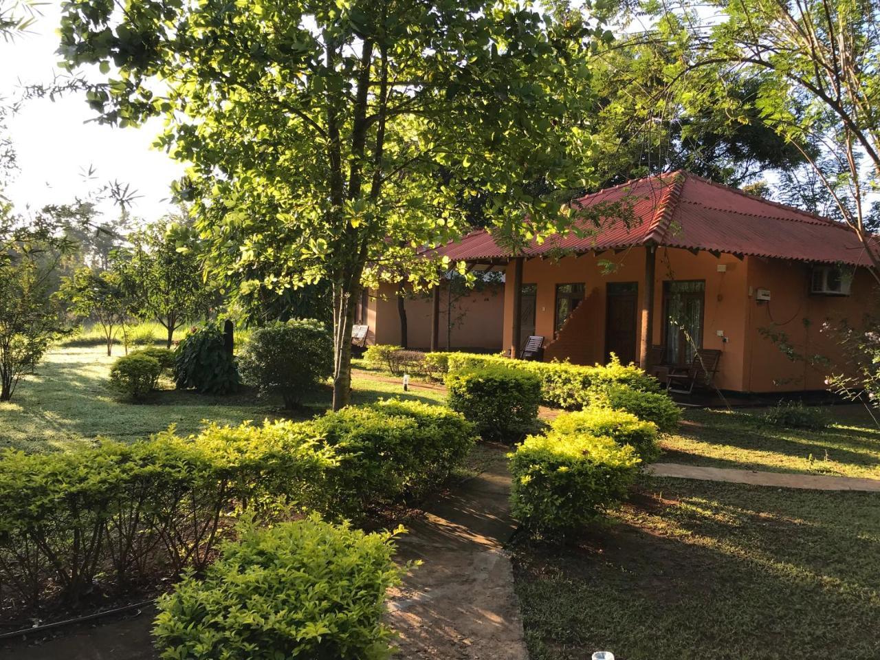 Guest house Liyon Rest