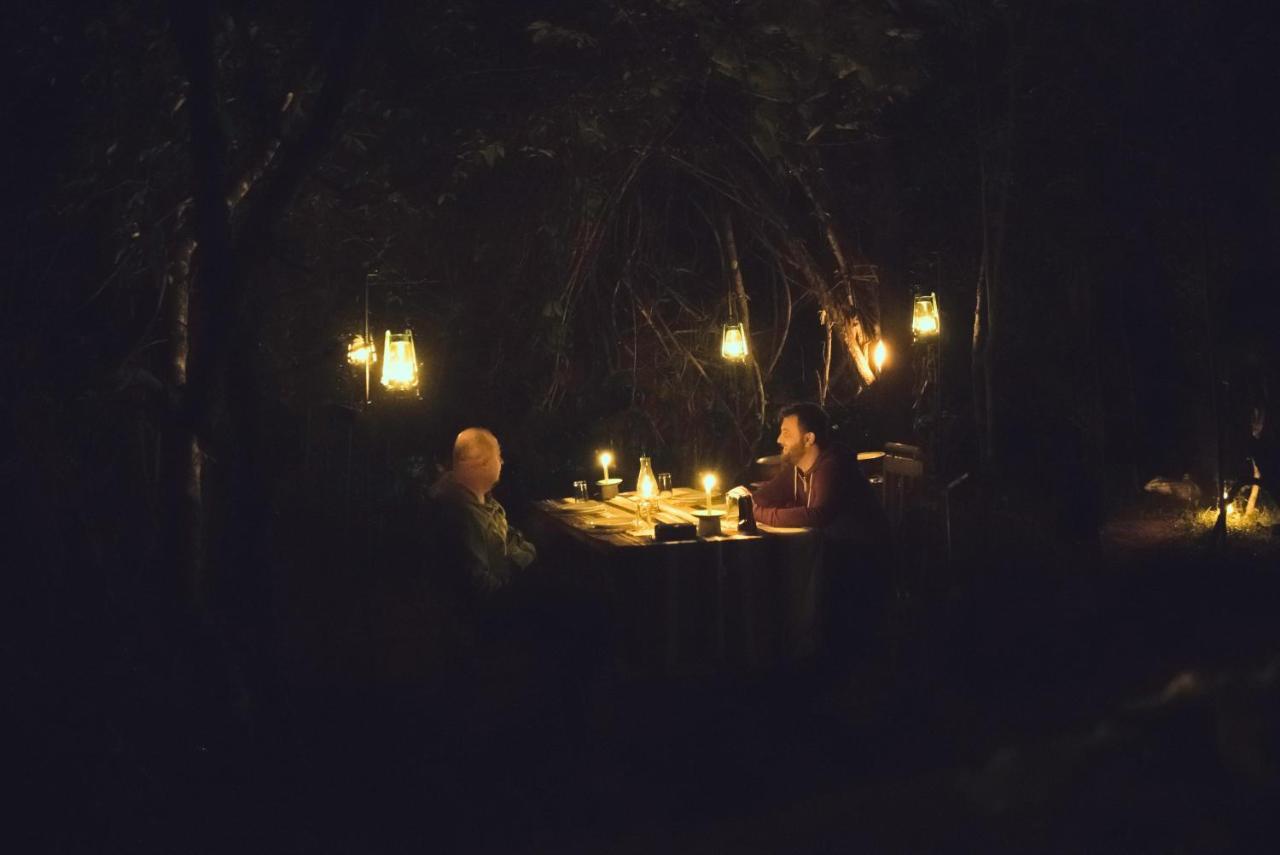 Lodge The Thick Forest