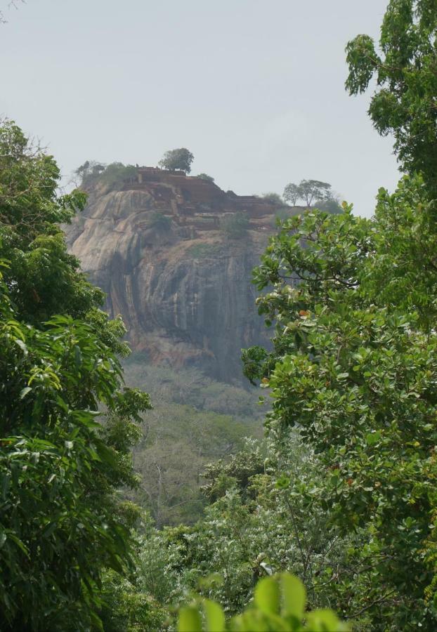 Organic Farm Wish Prabha View Homestay