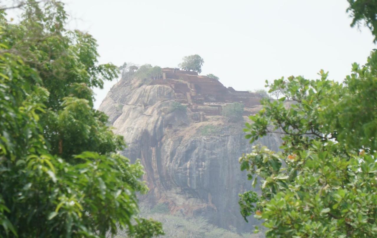 Organic Farm Wish Prabha View * Sigiriya