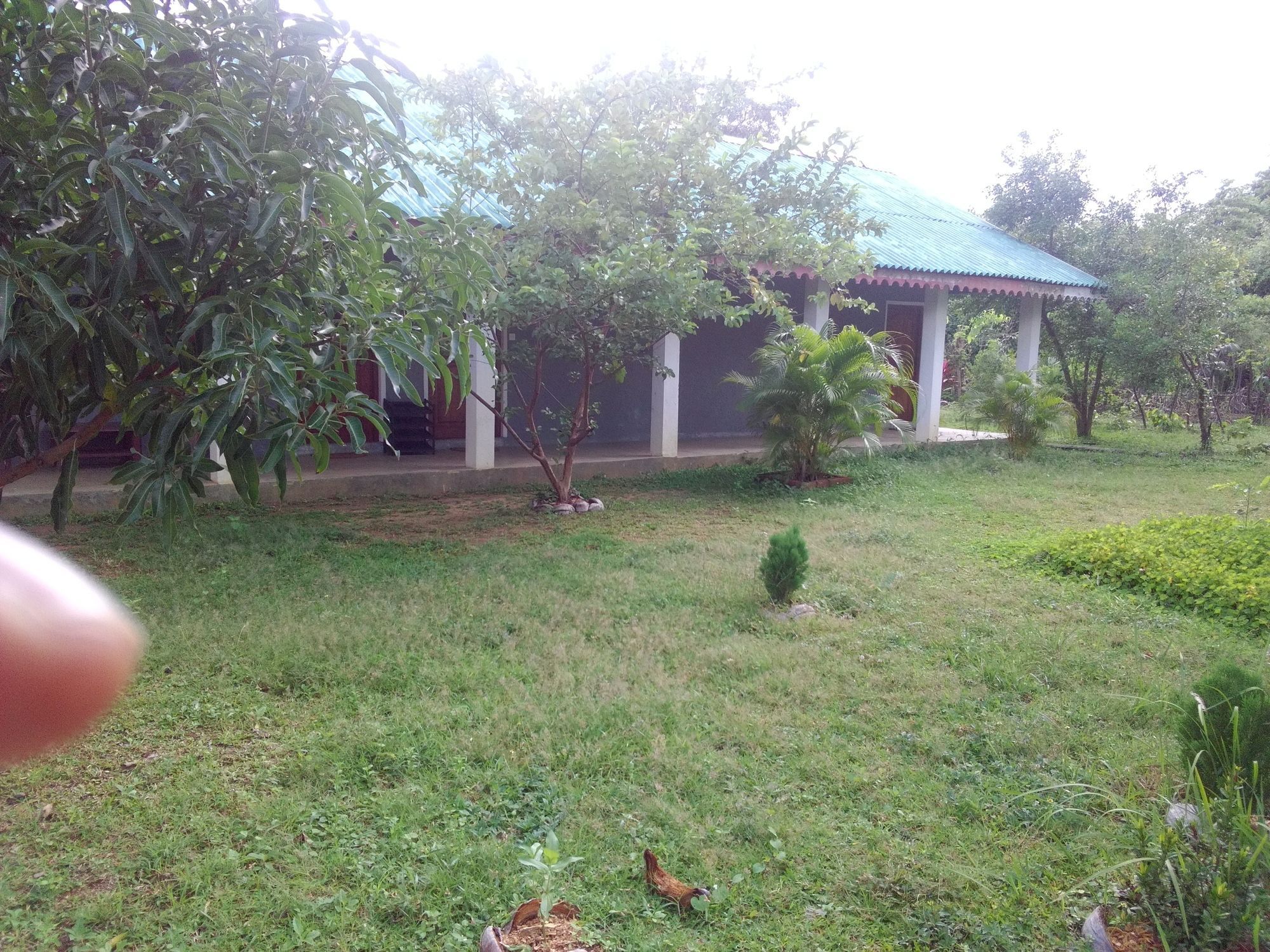Sinhagiri Homestay
