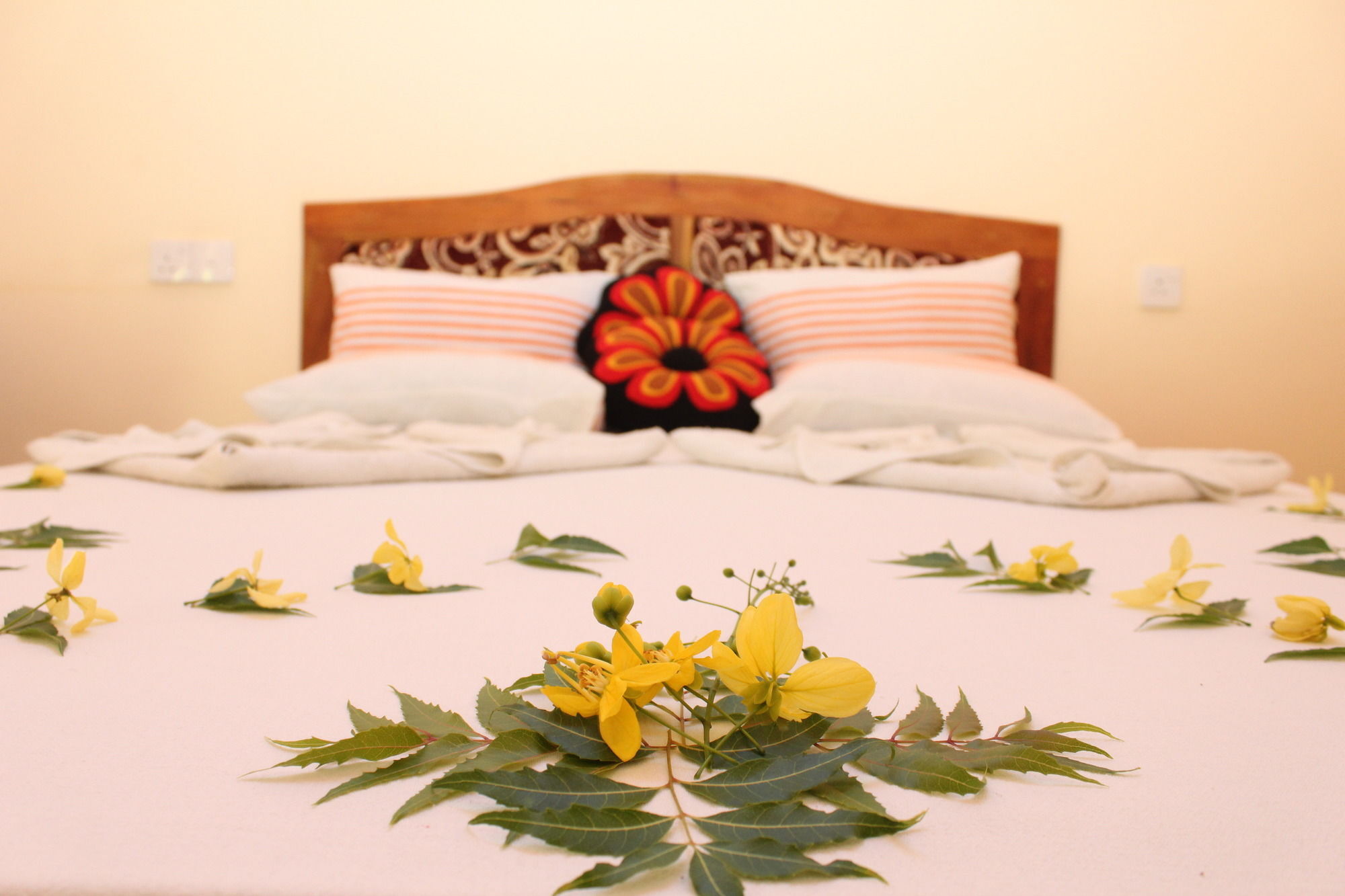 Sinhagiri Homestay *