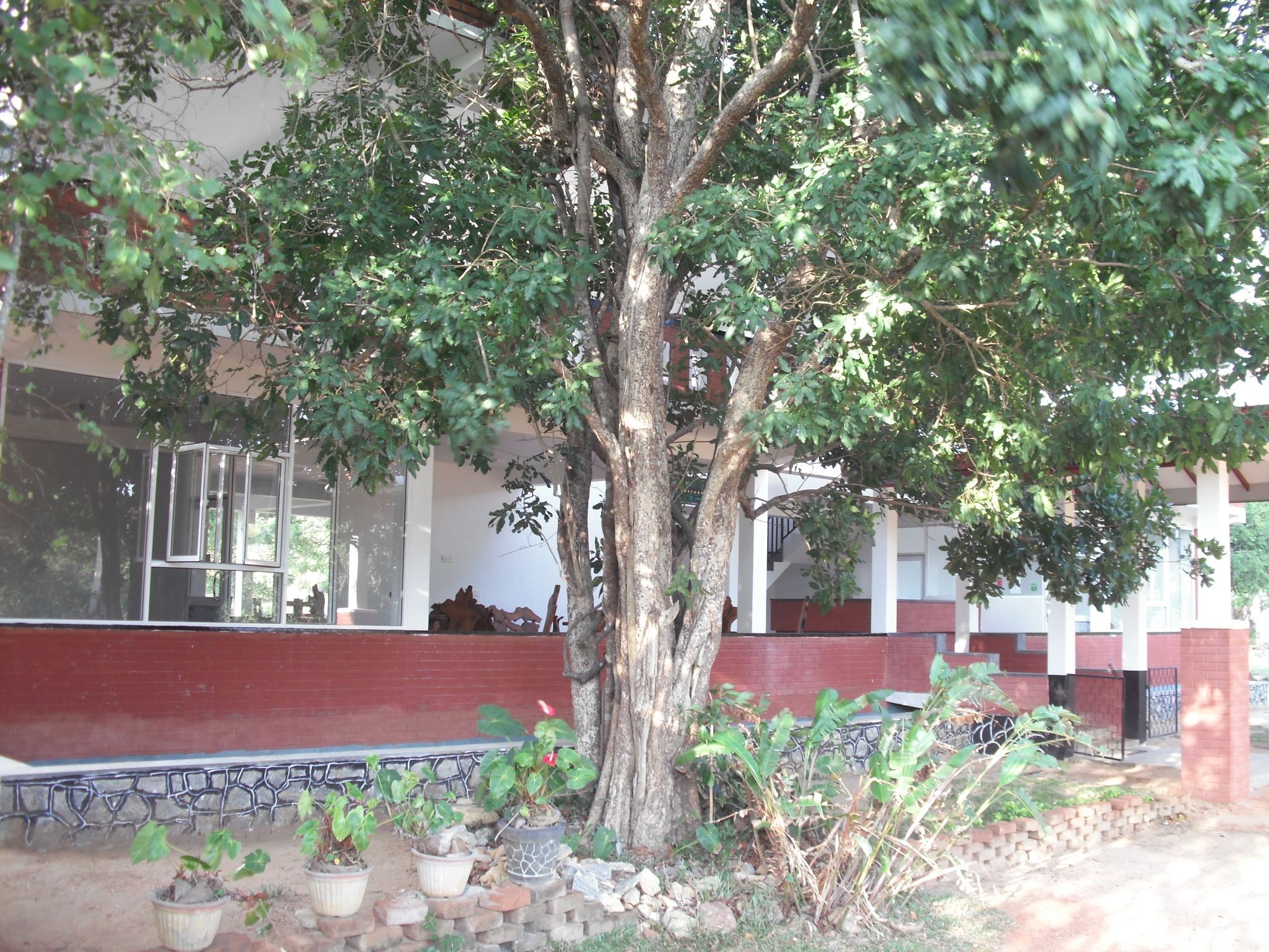 Sinhagiri * Sigiriya