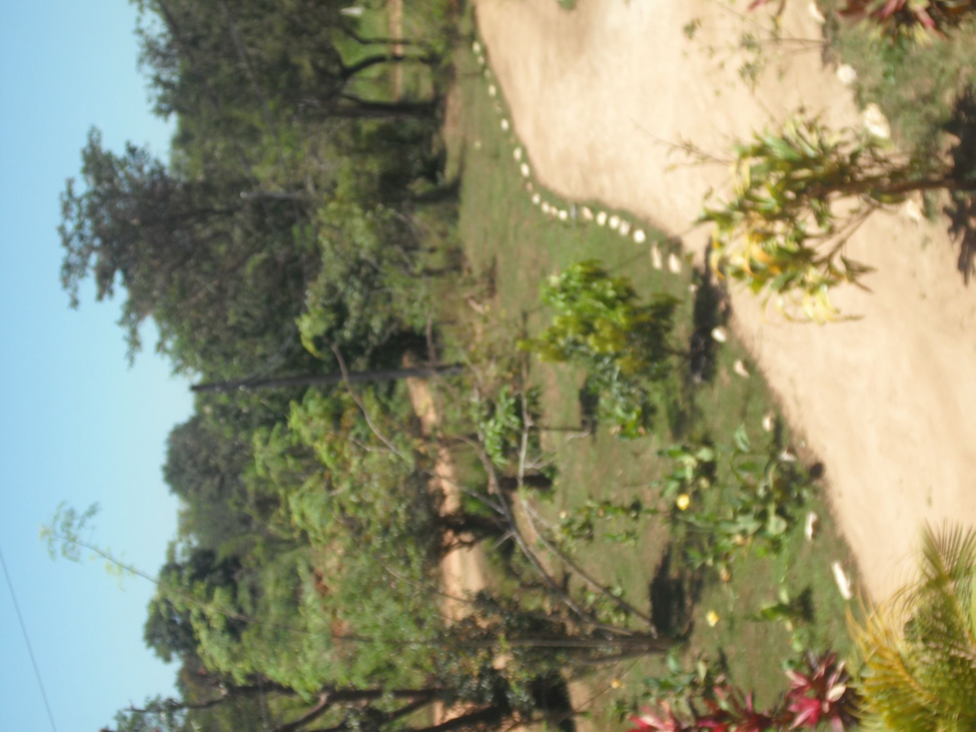 Homestay Sinhagiri *