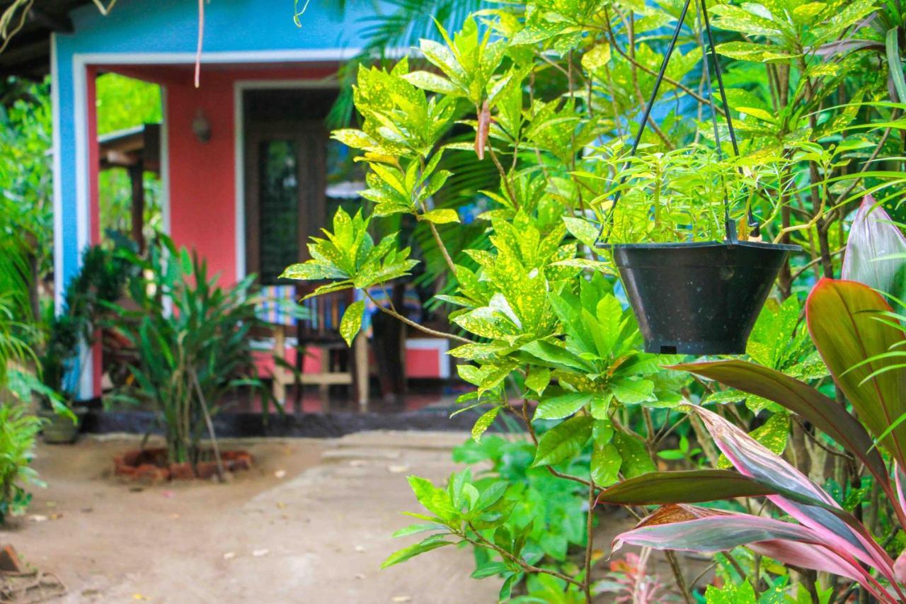 Homestay Grass *