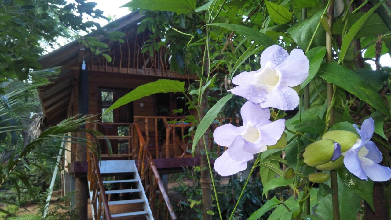 Shan Homestay