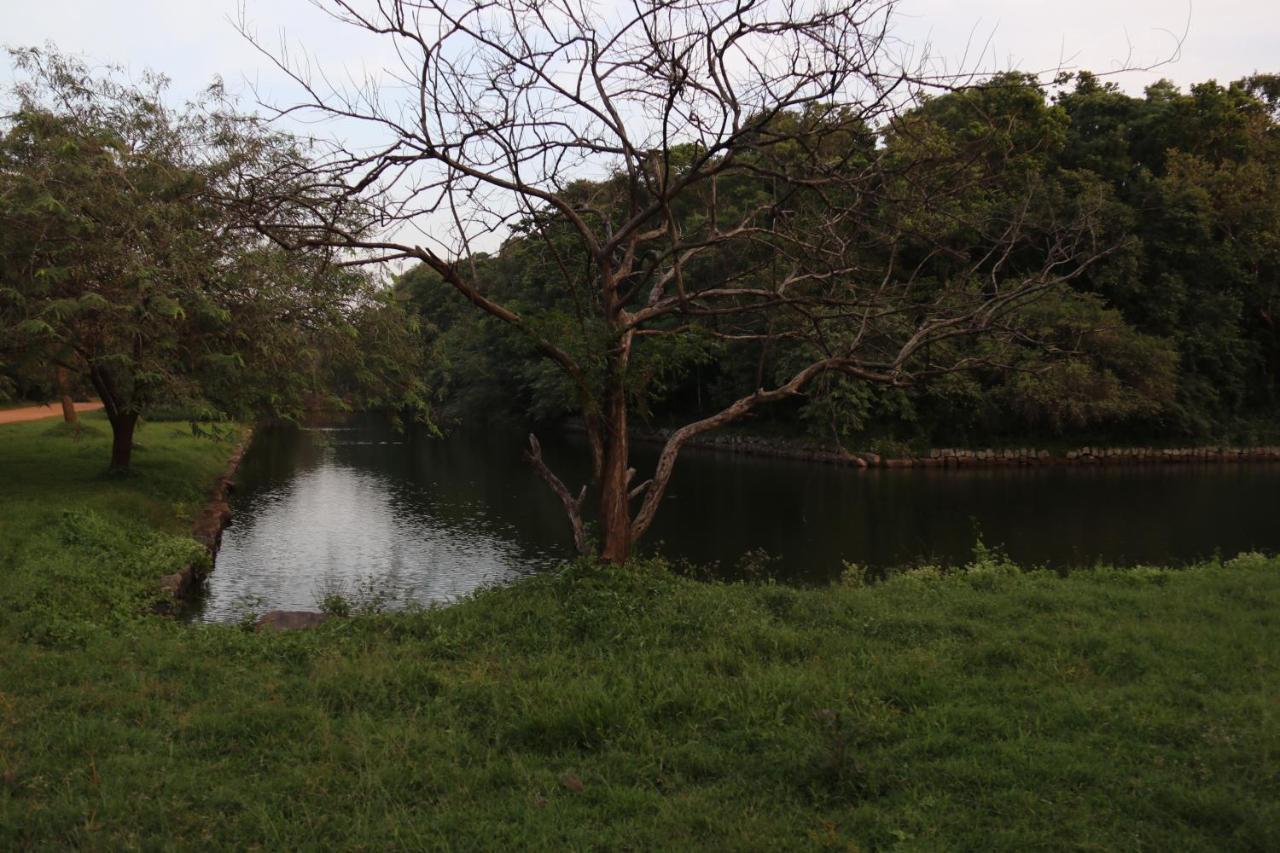 Thal Sewana Homestay Sigiriya