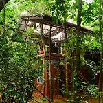 Back of Beyond Jungle Hideaway - Pidurangala