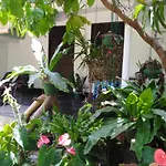 Asiri Homestay