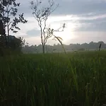 Sigiriya Paddy Field Hut