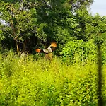 Golden Rock Retreat Sigiriya