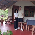 Jungle Eco Lodge & Safari