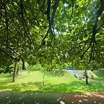 Foresta Resort Sigiriya