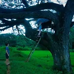 Sigiriya Lahiru Homestay