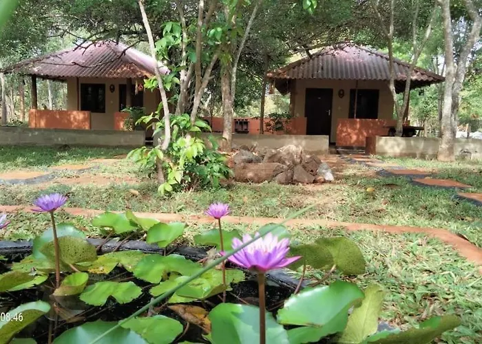 Hotel Niyagala Lodge Sigiriya