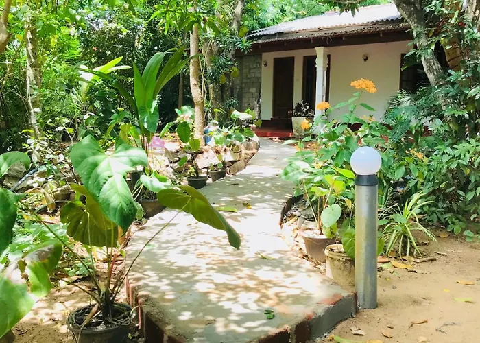 Sigiri Mihira Home Stay
